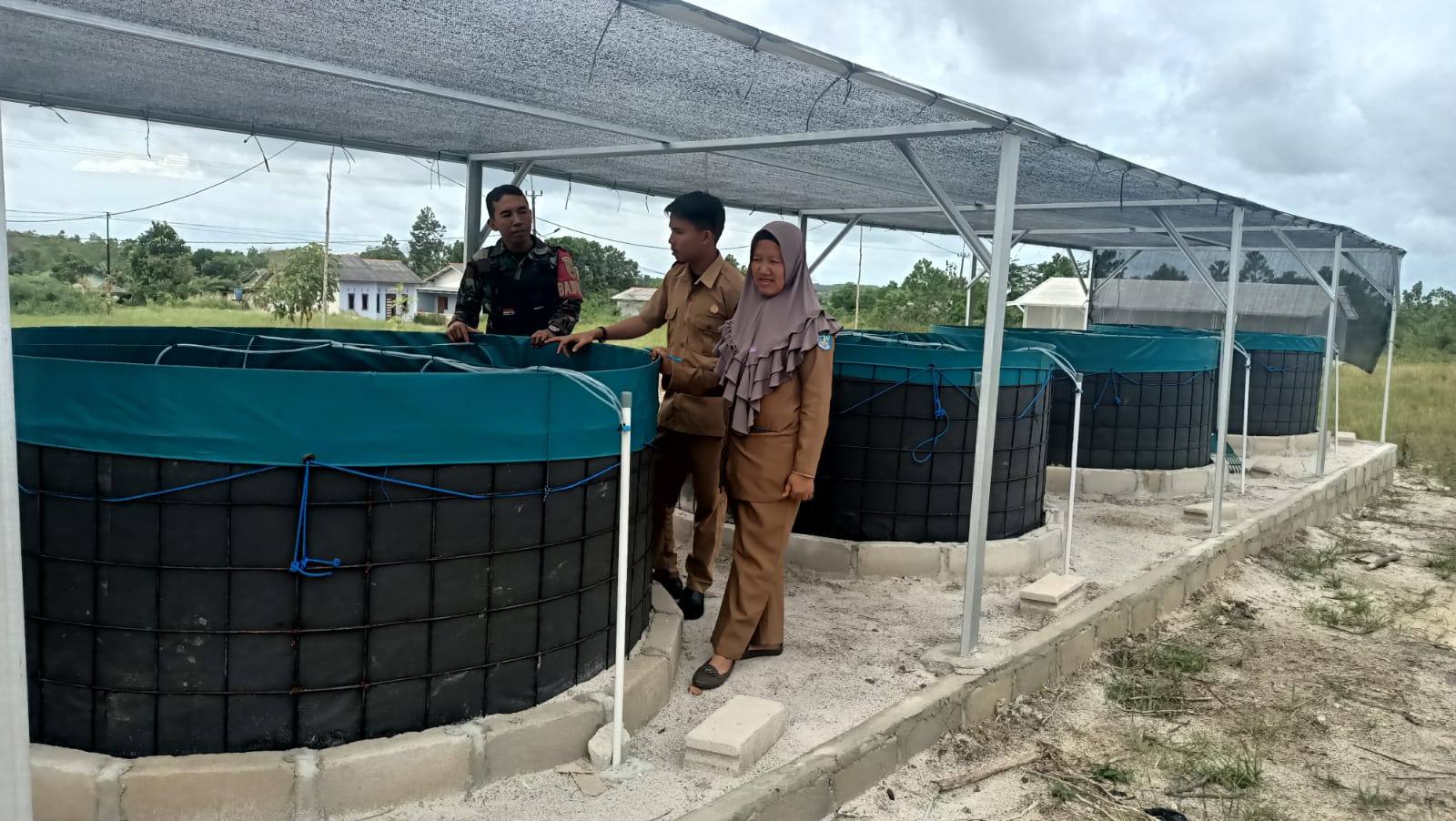 Sertu Agus Kurniawan Pantau Perkembangan Budidaya Ikan Lele di Desa Gunung Pelawan