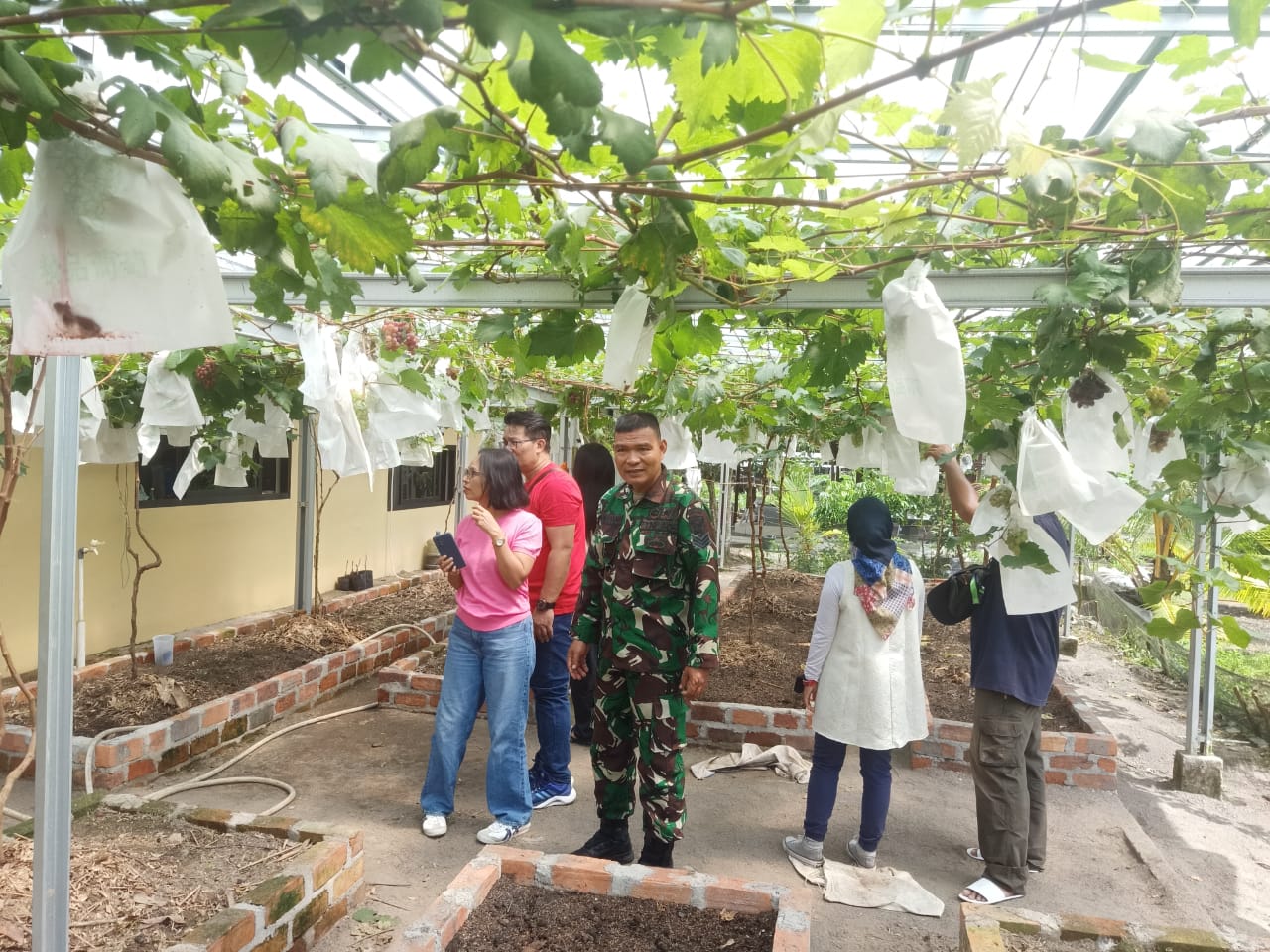 Anjangsana ke Perkebunan Buah, Serka Zulpani Babinsa Koramil 413-07/Koba Kunjungi Kelurahan Simpang Perlang