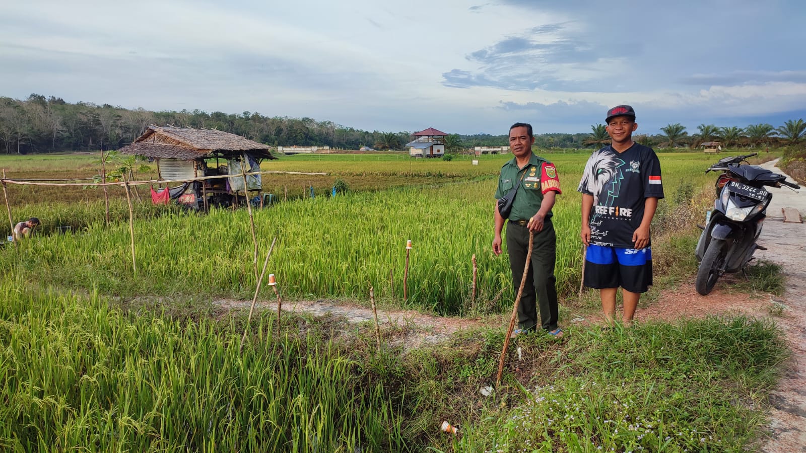 Komsos di Sawah Warga Binaan, Babinsa Koramil 431-03/Kelapa Beri Semangat dan Motivasi