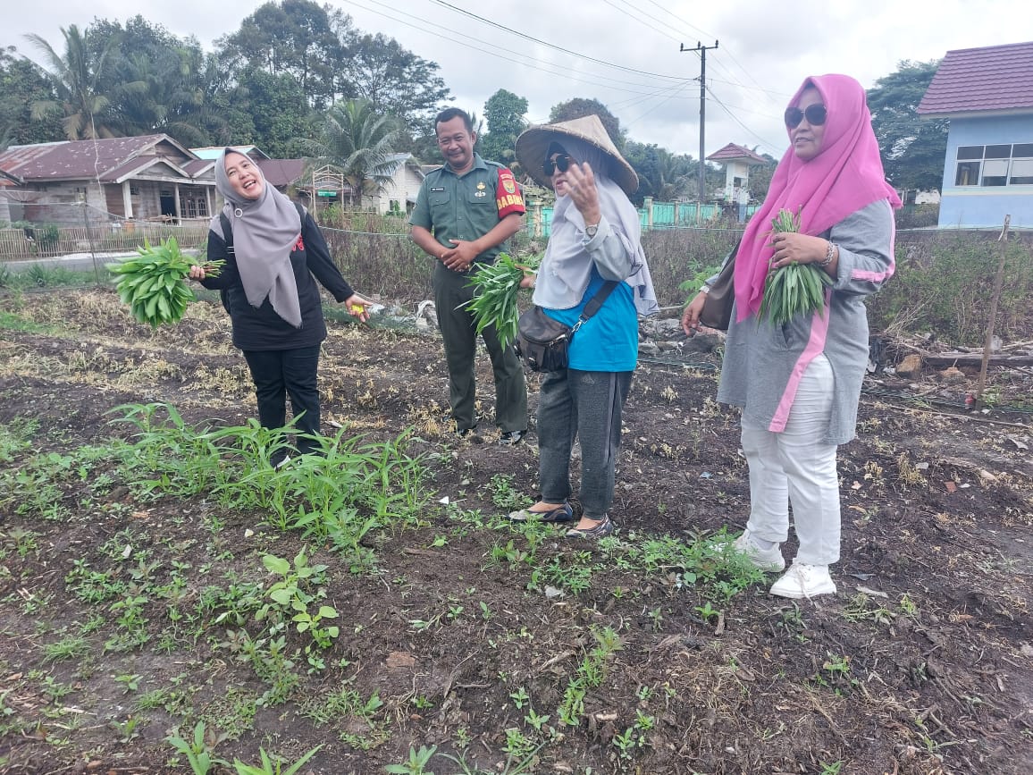 Pastikan Giat Penyerahan Bantuan Bibit, Oleh Ketua TPPK Bangka Barat Berjalan Lancar, Babinsa Laksanakan Monitoring