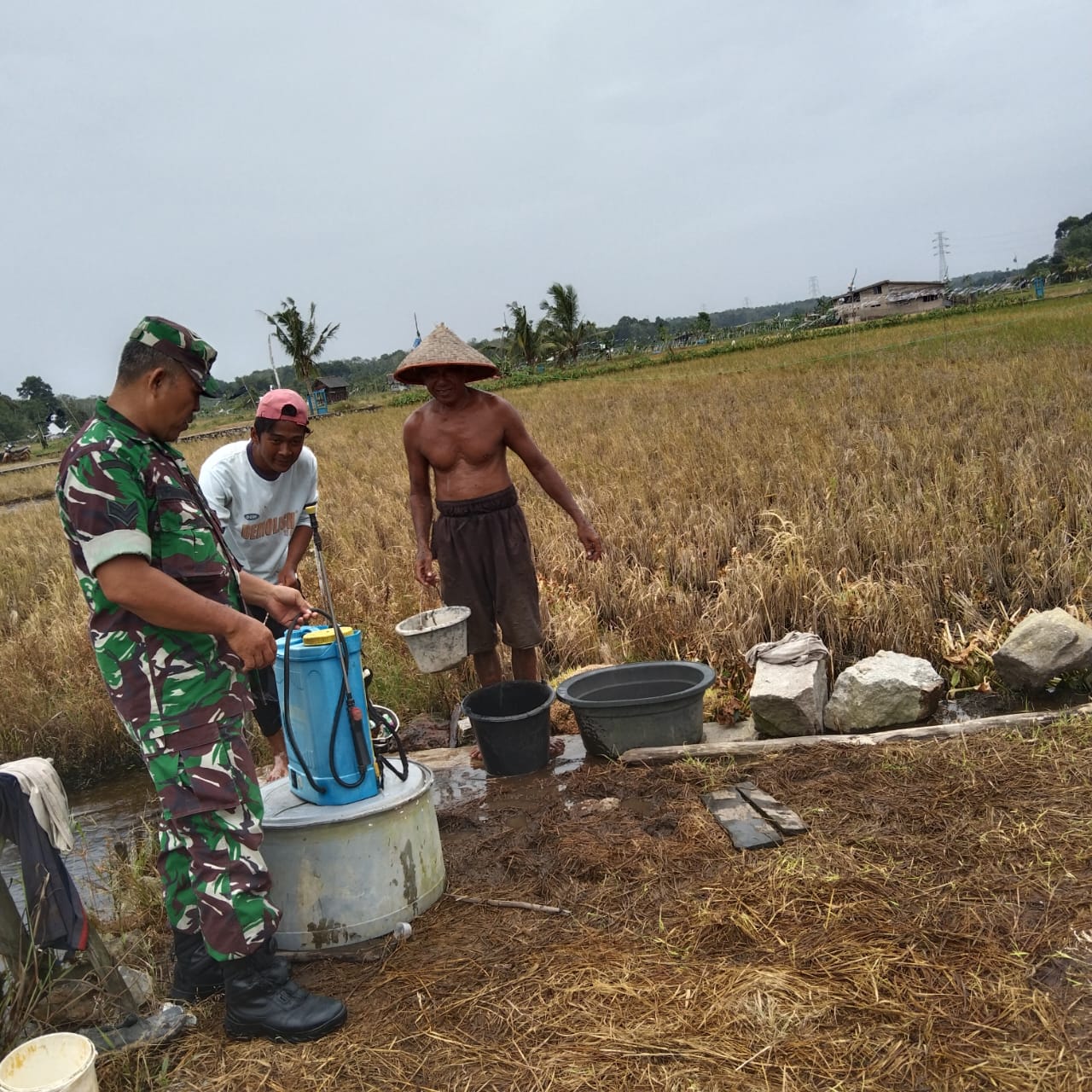 Lakukan Anjangsana dengan Petani Sawah Anggota Koramil 0413-09/Pangkalan Baru Kunjungi Desa Namang