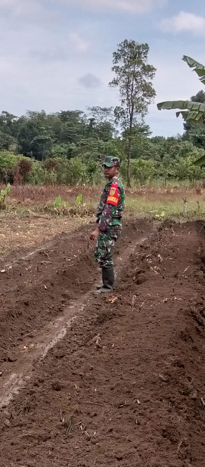 Babinsa Koramil 0413-09/Pangkalan Baru Dampingi Petani Menyiapkan Lahan Pertanian