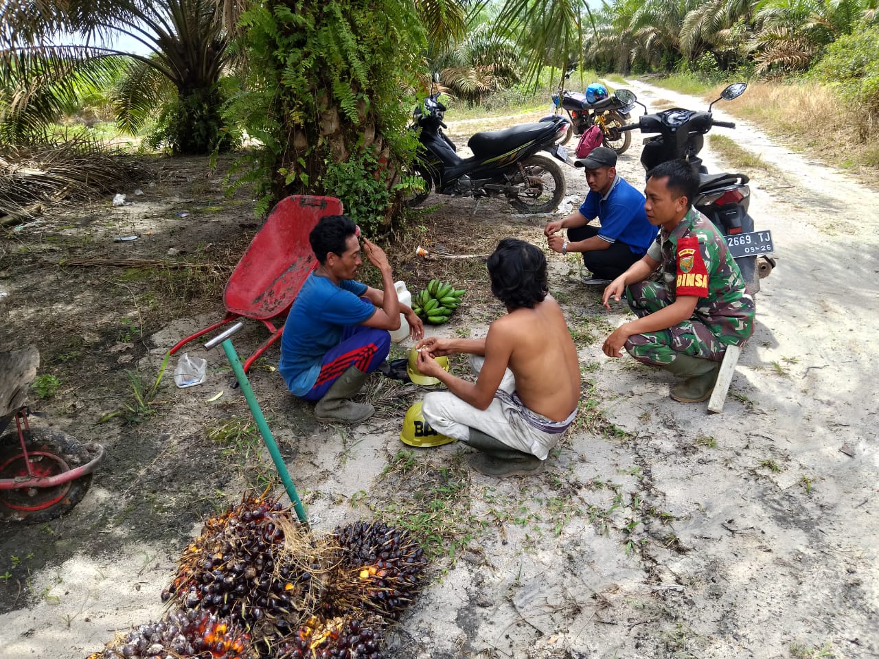 Saat Lakukan Komsos dengan Petani sawit Babinsa Desa Simpang Katis Berikan Arahan dan Masukan