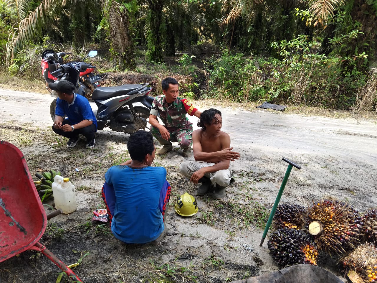 Saat Lakukan Komsos dengan Petani sawit Babinsa Desa Simpang Katis Berikan Arahan dan Masukan