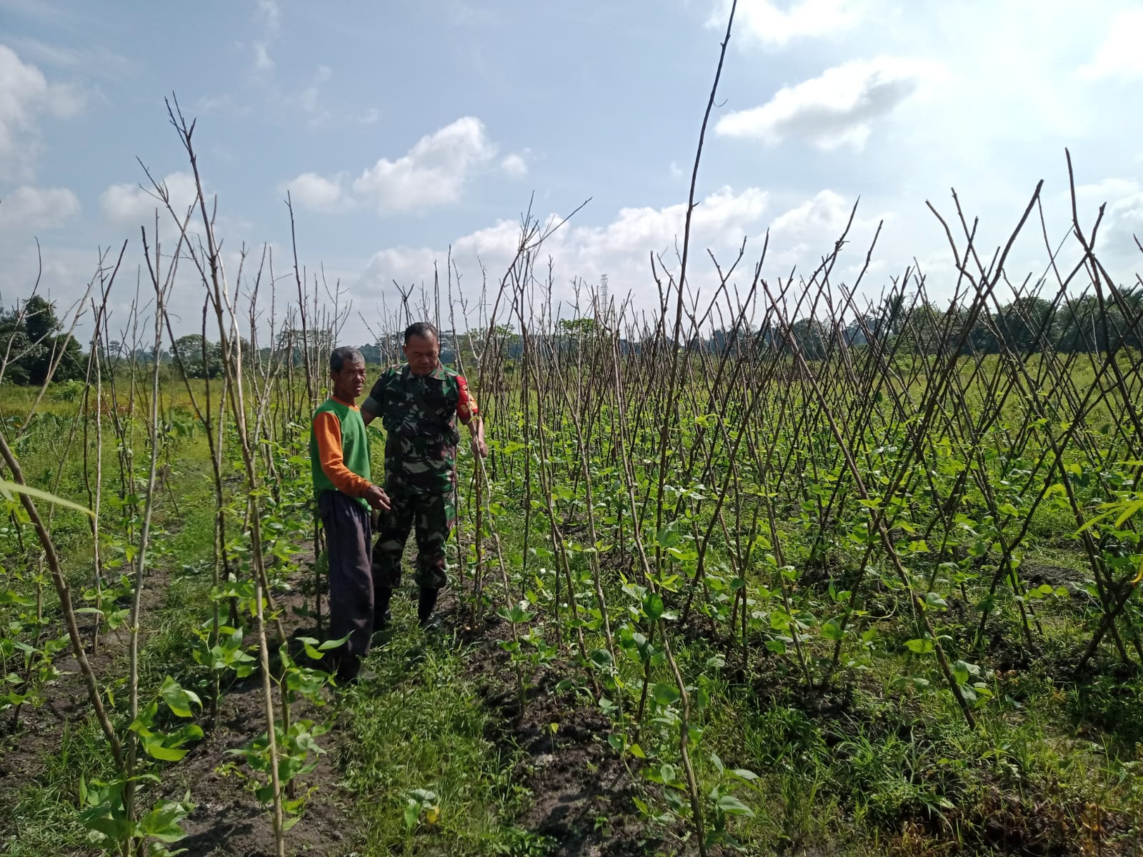 Dersimora anggota Koramil 413 - 05/ Tamansari Laksanakan Komsos dengan petani