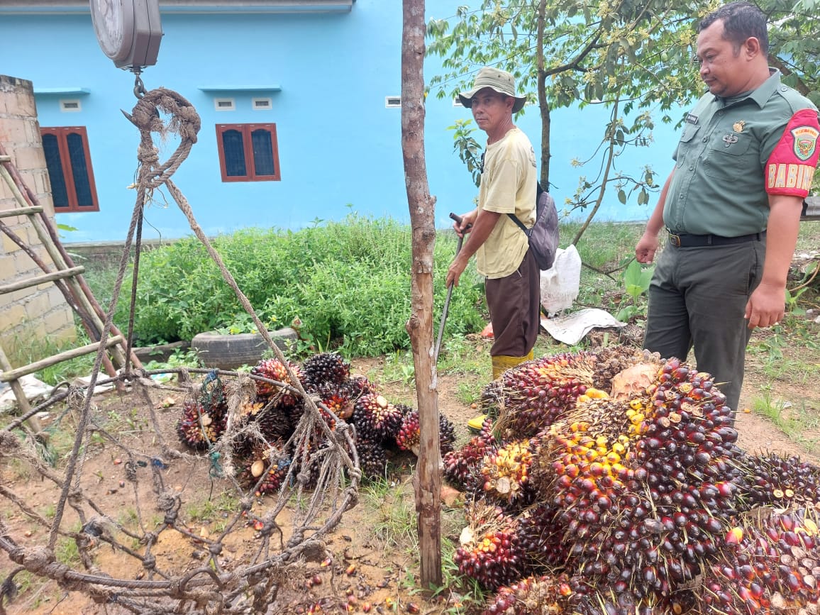 Tetap Jaga Keselamatan dalam Bekerja, Himbau Babinsa Koramil 431-03/Kelapa kepada Warganya