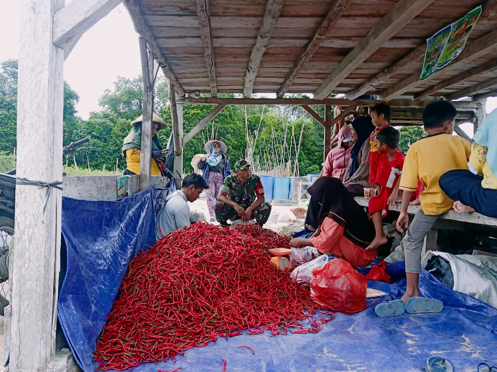 Beri Motivasi Kerja kepada Petani Cabe