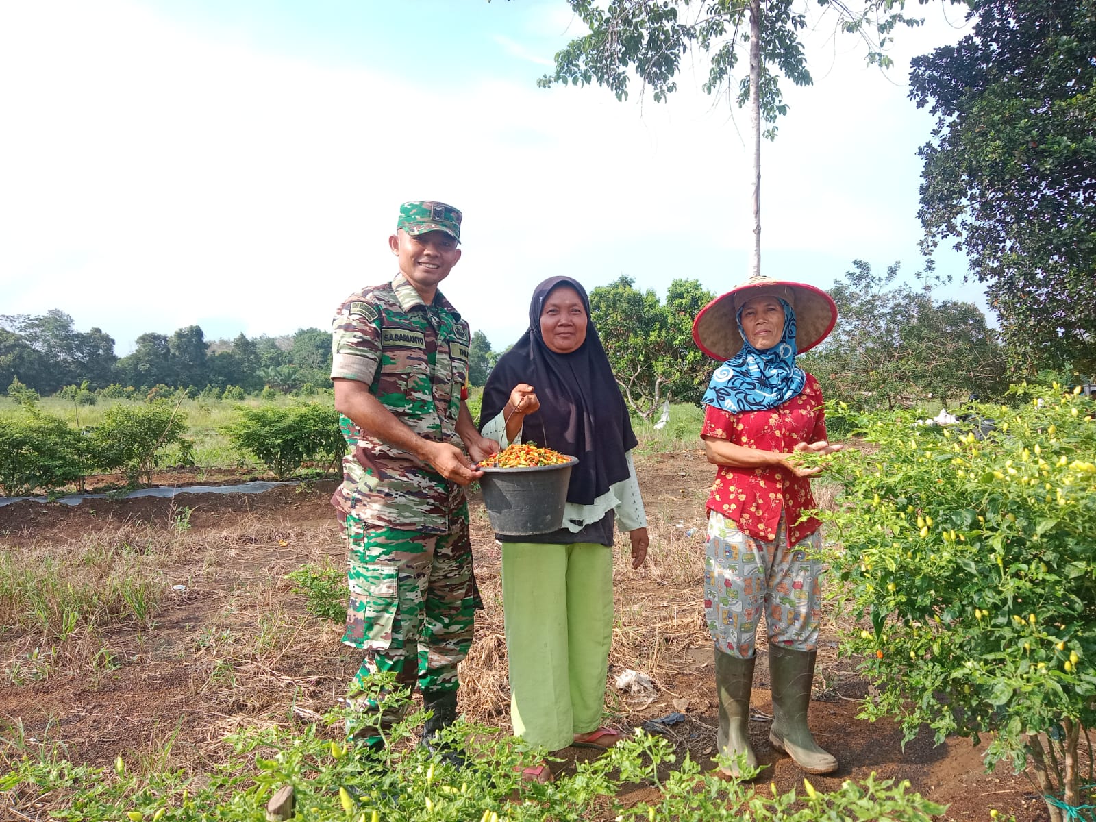 Komsos ke Petani Cabai, Babinsa Koramil 431-02/Mentok, Berikan Himbauan dan Semangat