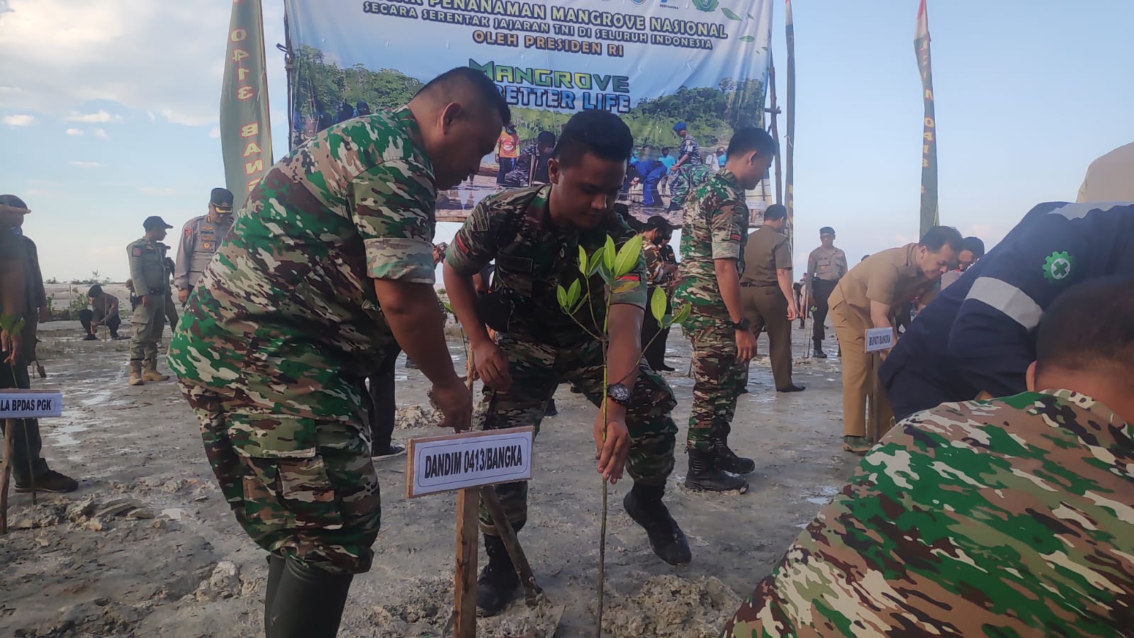 Kodim 0413/Bangka Bersama Polri dan Pemda Tanam 2000 Mangrove Nasional Secara Serentak JajaranTNI Di Seluruh Indonesia