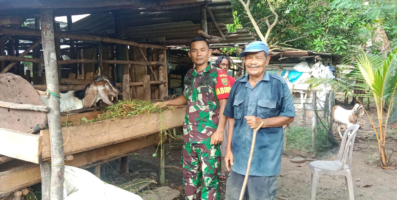 Danramil 431-02/Mentok Beri Himbauan Kepada Peternak Kambing Agar Tetap Menjaga Kebersihan di Sekitar kandang