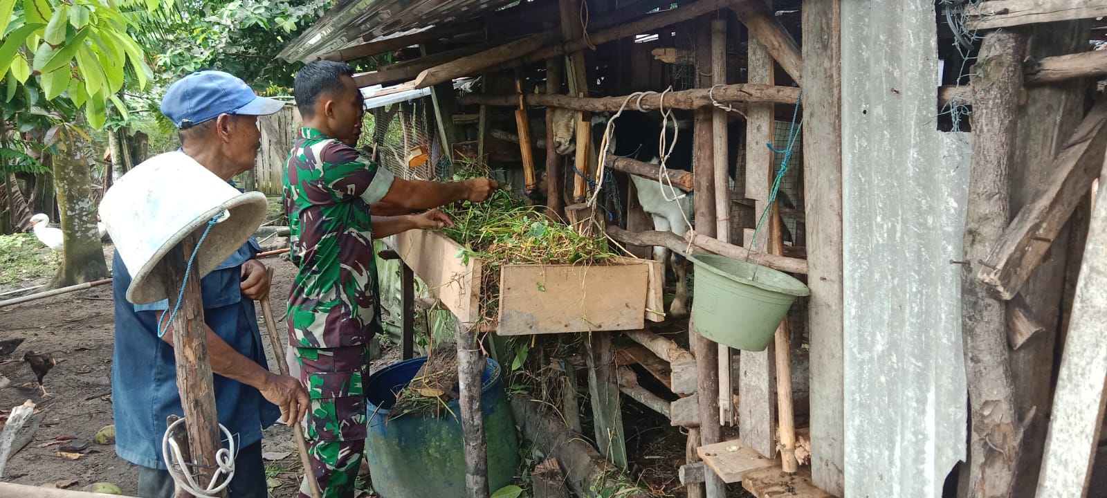 Danramil 431-02/Mentok Beri Himbauan Kepada Peternak Kambing Agar Tetap Menjaga Kebersihan di Sekitar kandang