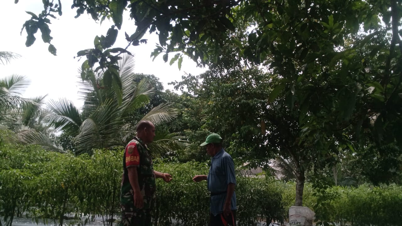 Guna Meningkatkan Hubungan Kerja yang Baik, Babinsa Ini Lakukan Binter