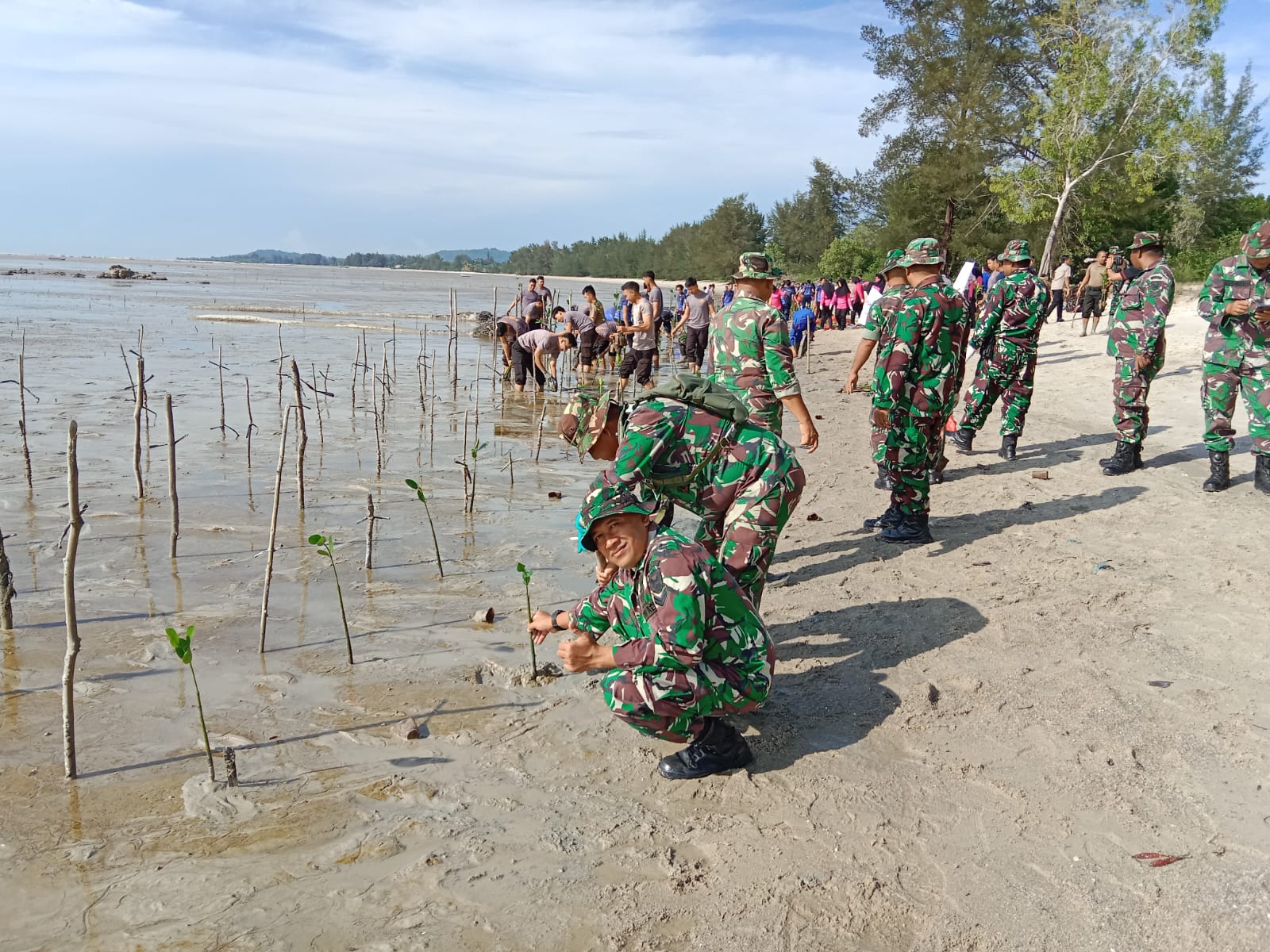 Koramil Bukit Intan Ikut Penamaan Pohon Mangrove Dalam Rangka HUT Bayangkara Ke 77