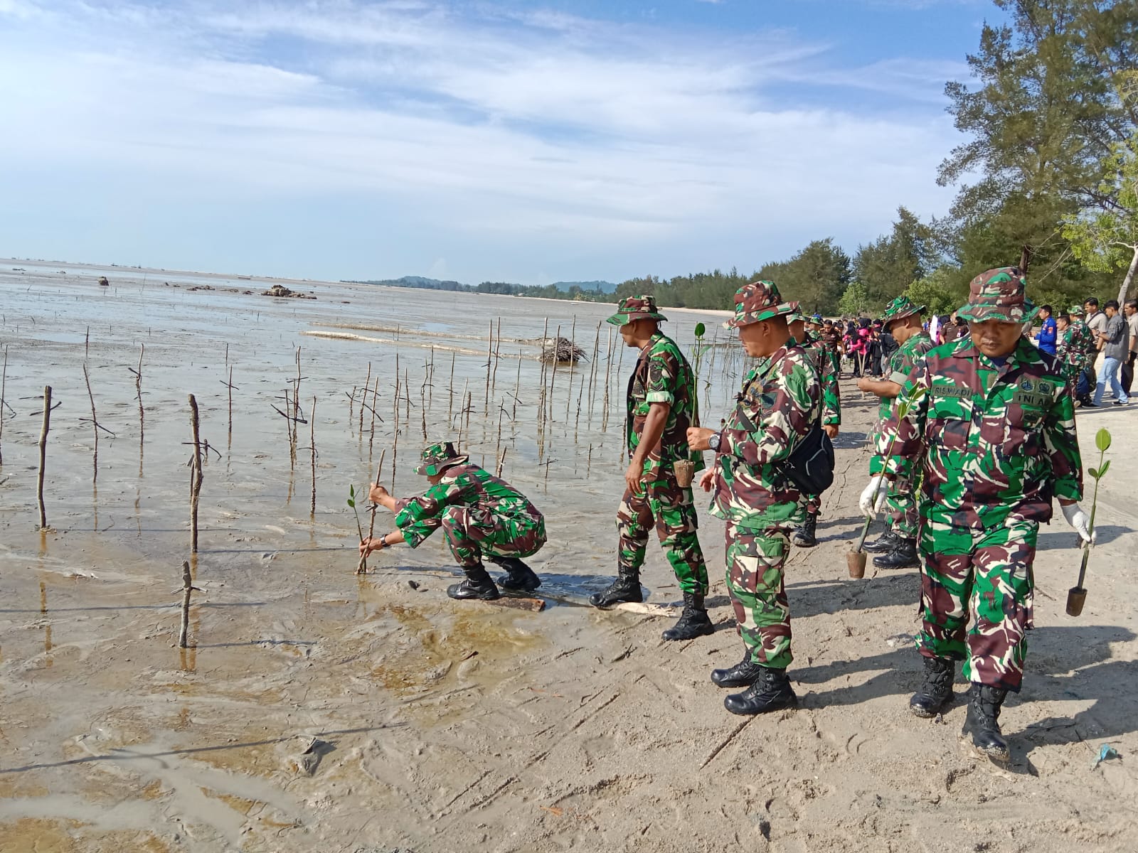 Koramil Bukit Intan Ikut Penamaan Pohon Mangrove Dalam Rangka HUT Bayangkara Ke 77