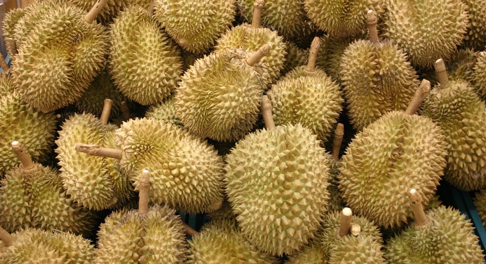 Tips Sederhana Memilih Durian Dengan Kualitas Yang Baik Dari Dinas Pertanian dan Pangan Kota Pangkalpinang