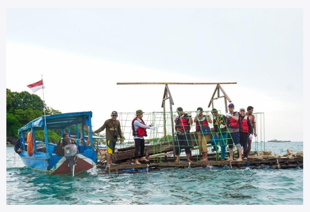 Merawat Ekosistem Pesisir dengan Reklamasi Laut, PT Timah Tbk Konsisten Laksanakan Reklamasi 