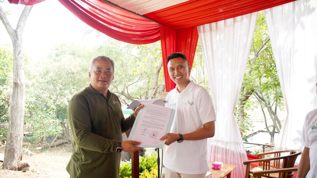 Percepat Perlindungan Ekosistem, Apical Tanam 3.000 Pohon Mangrove di Jakarta