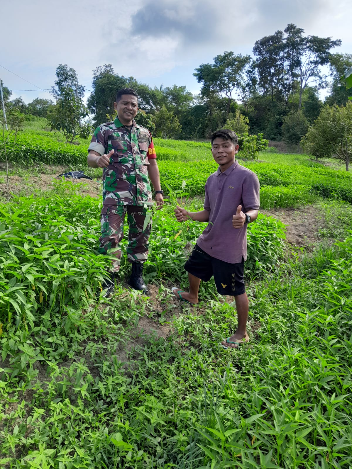 Babinsa Koramil 431-02/Mentok, Melaksanakan Anjangsana Bersama Petani Cabai