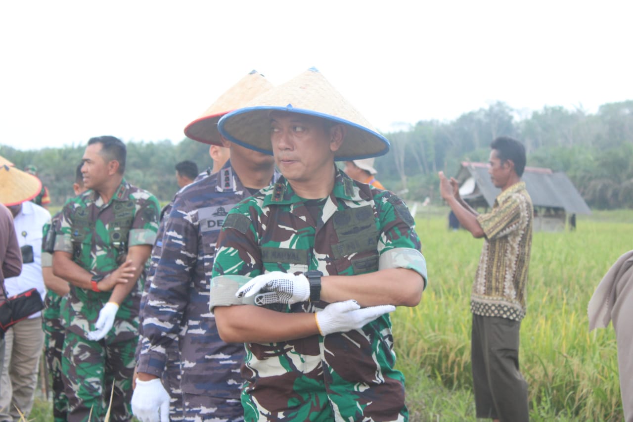 Dandim 0431/Babar Letkol Inf Kemas Muhammad Nauval, M.Han Hadiri Perayaan Panen Padi Bersama Wakil Menteri Pertanian RI