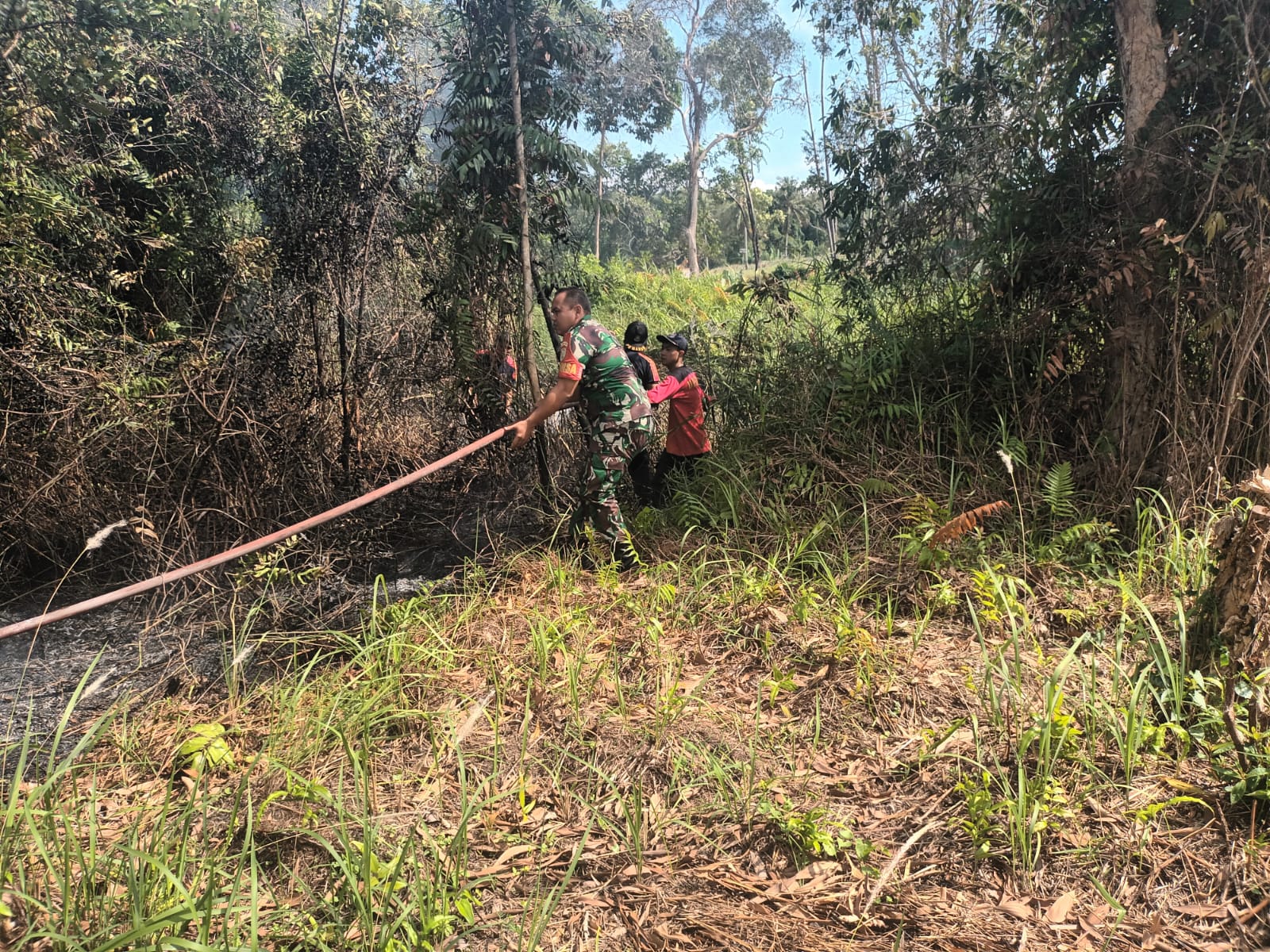 Kronologi ke Hutan Lindung di Tepi Pantai Rebo