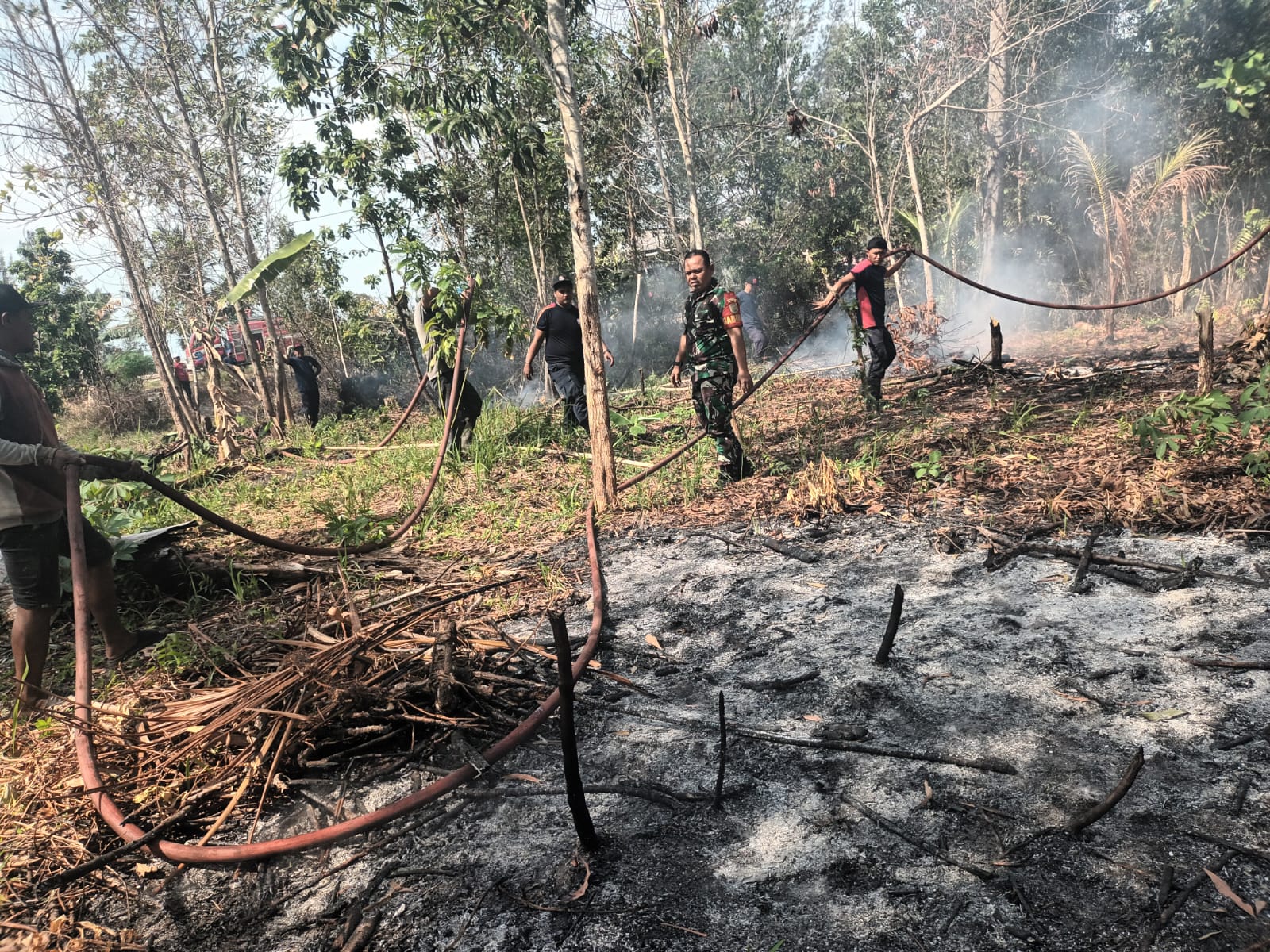 Kronologi ke Hutan Lindung di Tepi Pantai Rebo