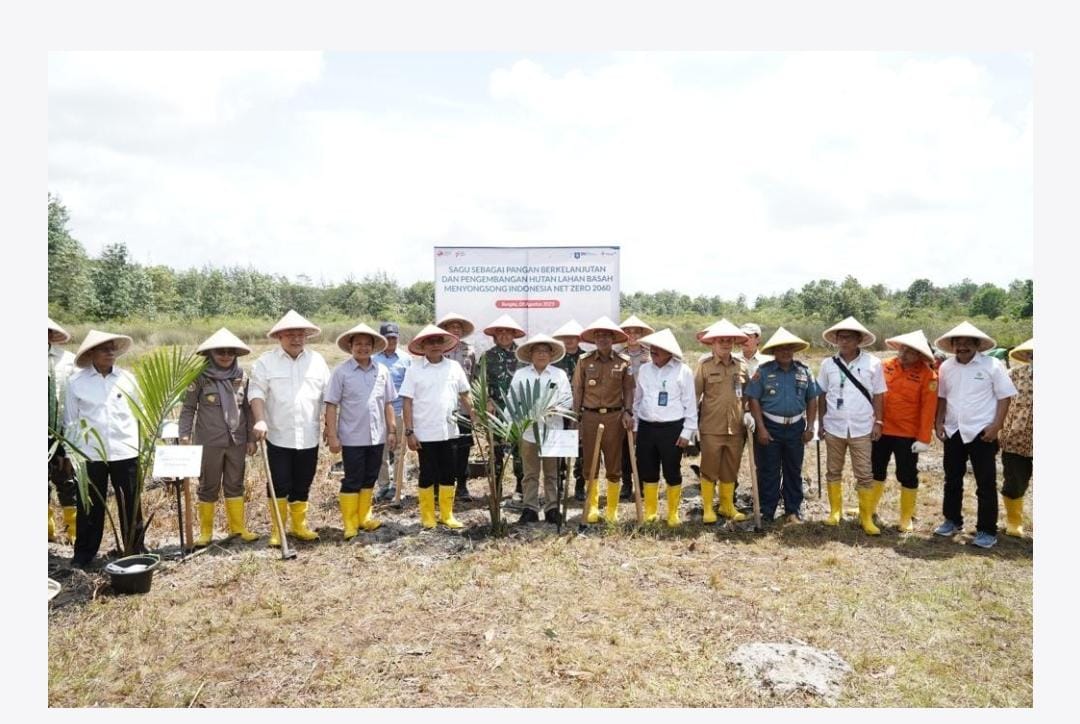 Dukung Ketahanan Pangan dan Net Zero 2060, PT Timah Tbk Bersama Kepala Staf Kepresidenan RI Tanam Sagu di Lahan Bekas Tambang