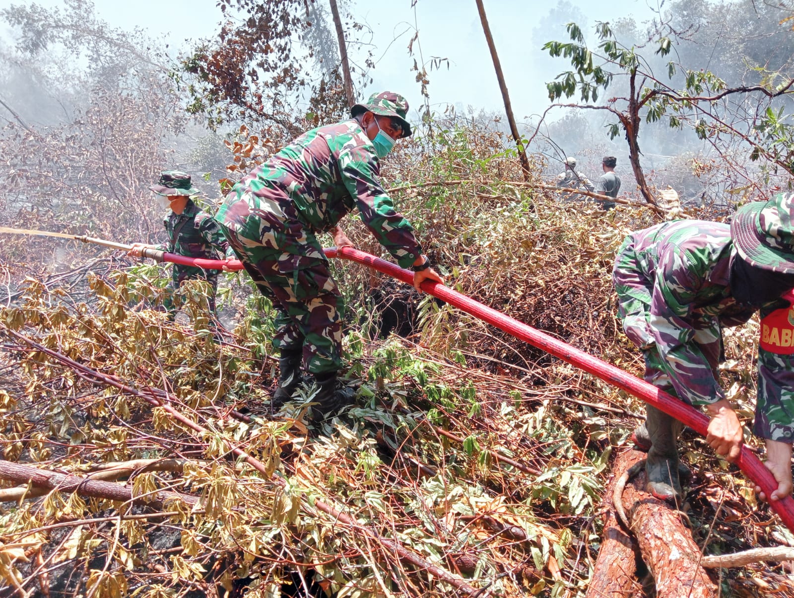 Proses Pemadaman Api di Lahan Dusun Tuing Desa Mapur Kecamatan Belinyu Kabupaten Bangka