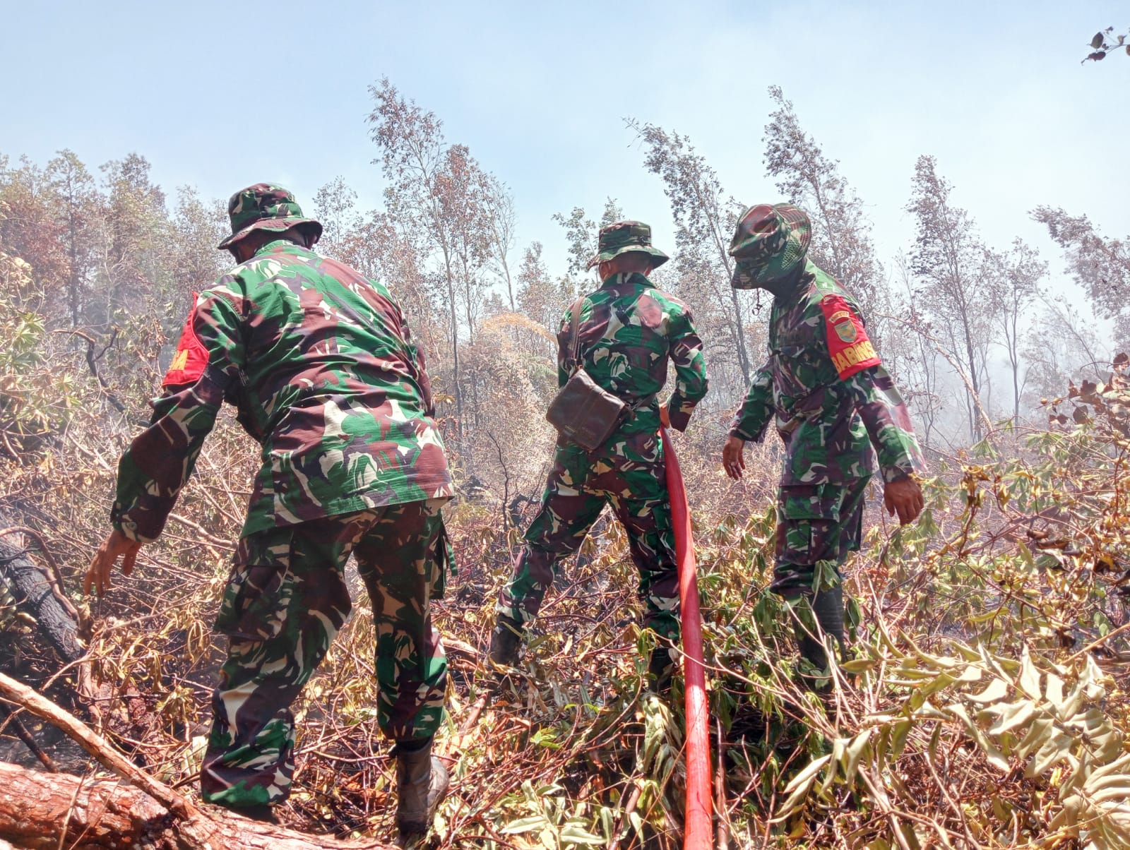 Proses Pemadaman Api di Lahan Dusun Tuing Desa Mapur Kecamatan Belinyu Kabupaten Bangka