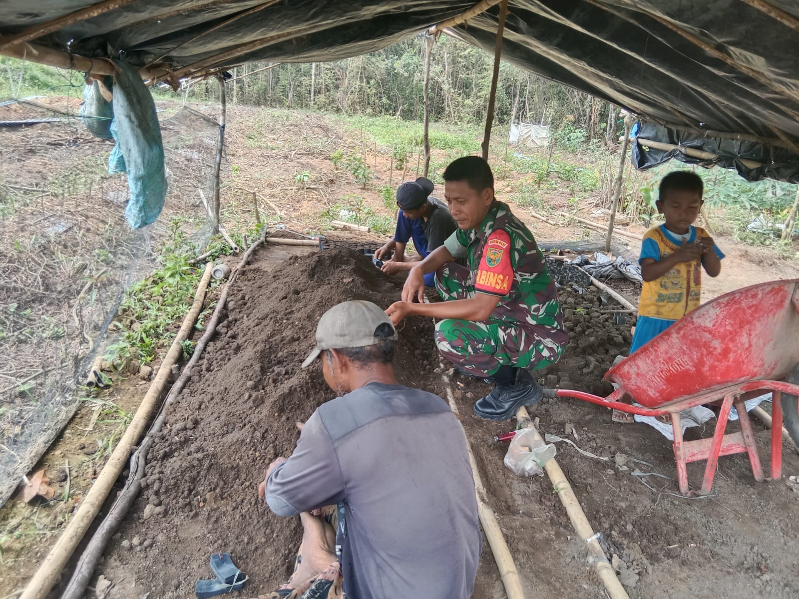 Kegiatan Komsos Babinsa Koramil 431-03/Kelapa Serda Sugiyanto Dengan Bapak Mardiono di Desa Air Bulin