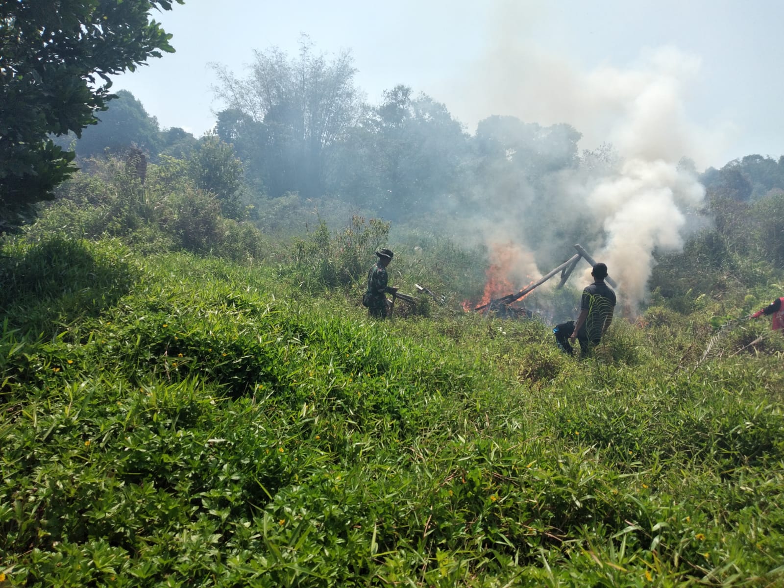 Babinsa Air Anyir Bersama Warga Padamkan Kebakaran Yang Melahap Lahan Desa Air Anyir