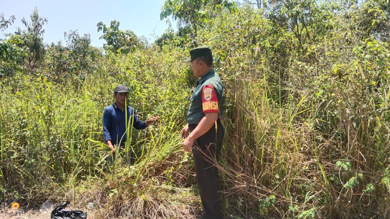 Waspada Kebakaran Hutan Babinsa Belilik Bersama Warga Pantau Lahan Kering