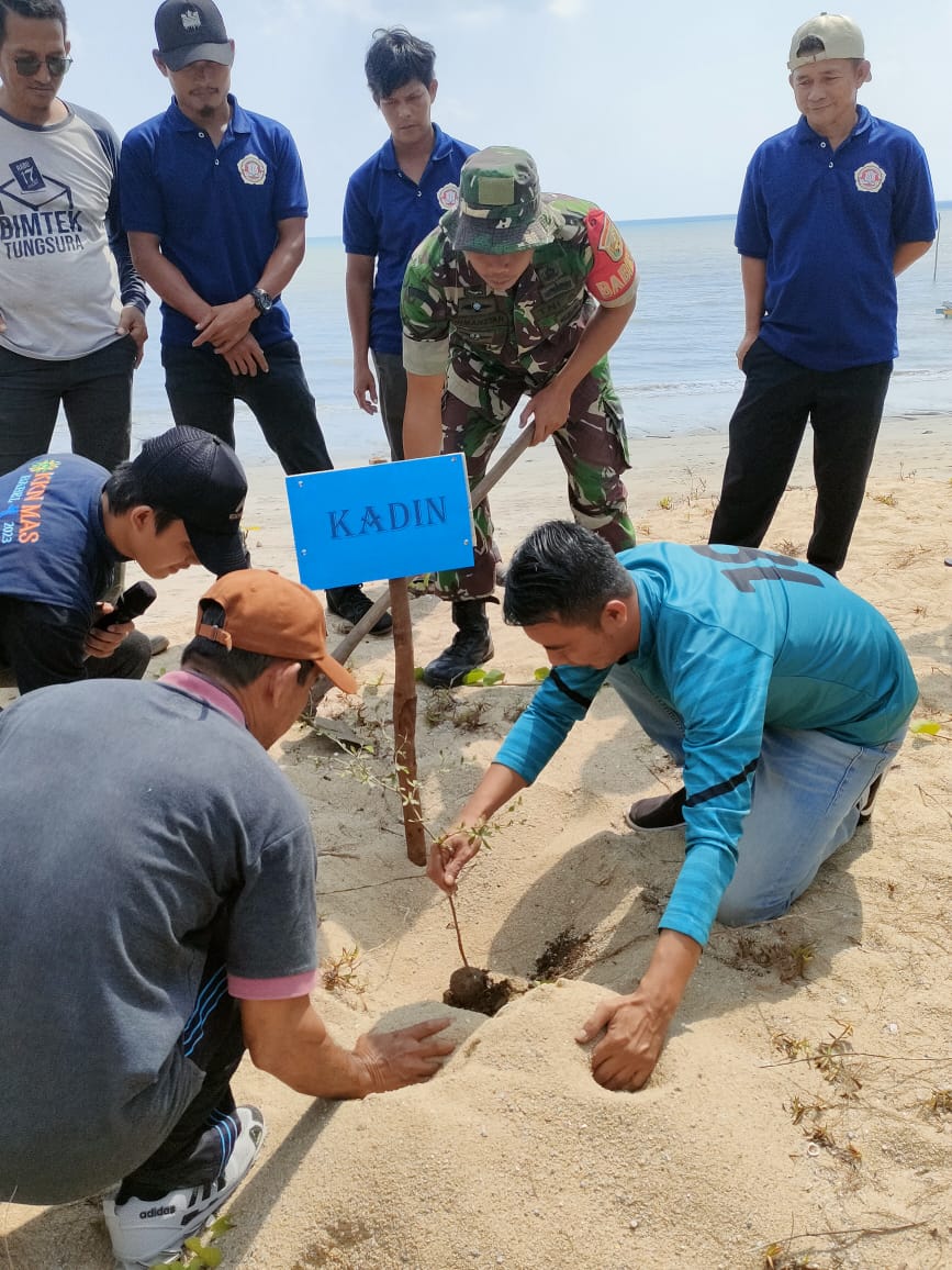 Hijau Babel Ku, Babinsa Kulur Bersama Mahasiswa KKN Nusantara Menanam Pohon Pinus Pasca Tambang