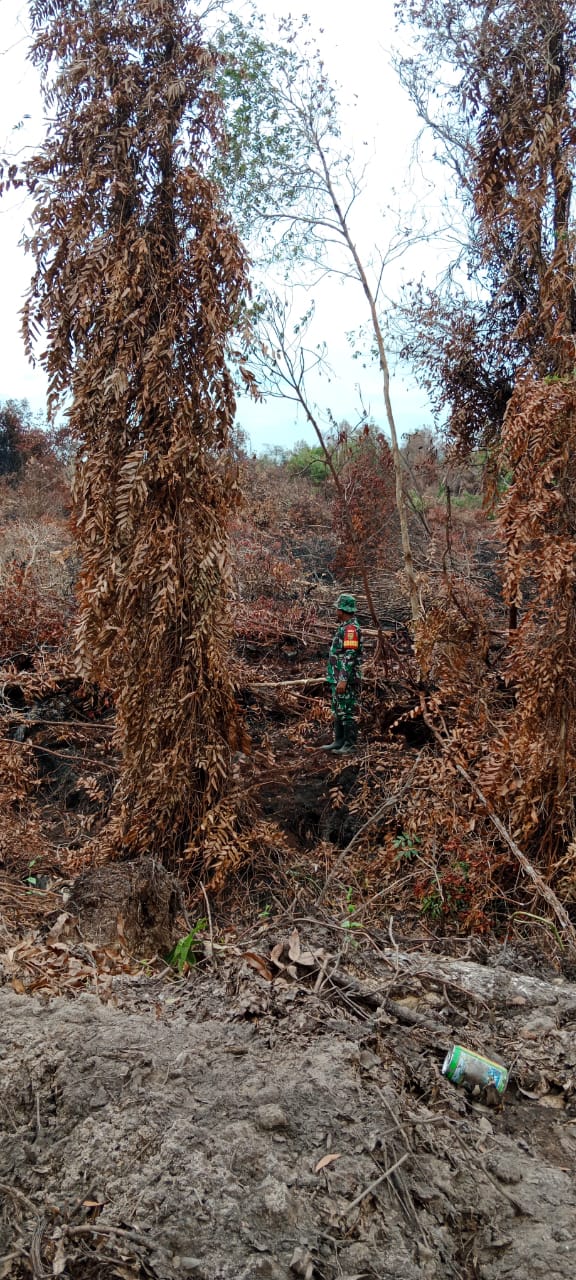 Mengantisipasi Kebakaran Babinsa Mapur Cek Titik Api Kebakaran Lahan Gambut Di Dusun Tuing